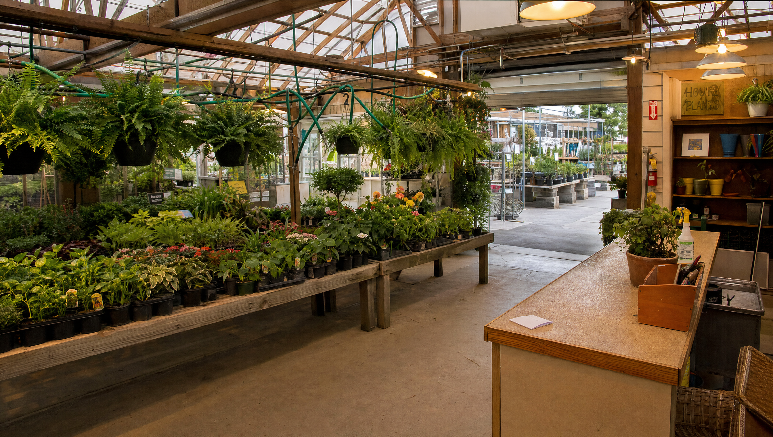 Greenhouse scene reference